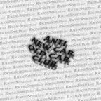 Adesivo Anti New Car Old Car Club — Nero
