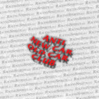 Adesivo Anti New Car Old Car Club — Rosso