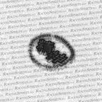 Adhesivo Racing Spirits circular — Negro