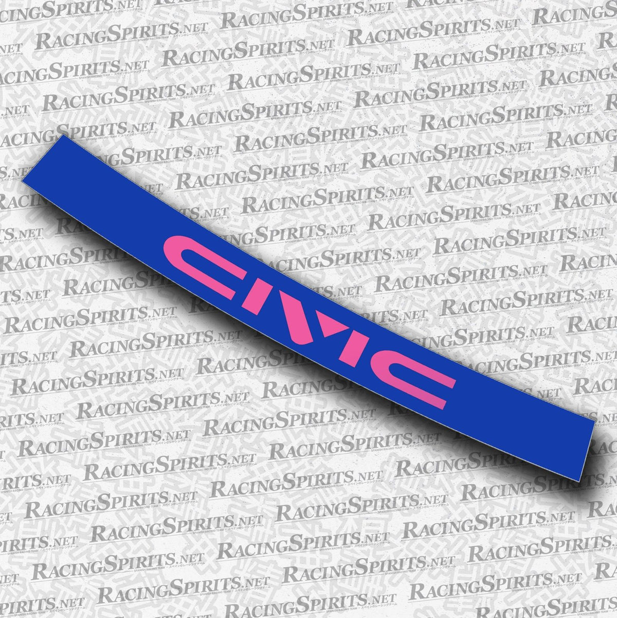 BANNER CIVIC 4ª GENERAZIONE (ED/EF/EC) — Blu / Rosa